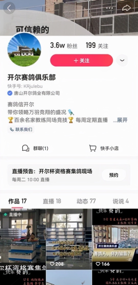 开尔鸽业春赛第一名,开尔鸽业1000多万的鸽子