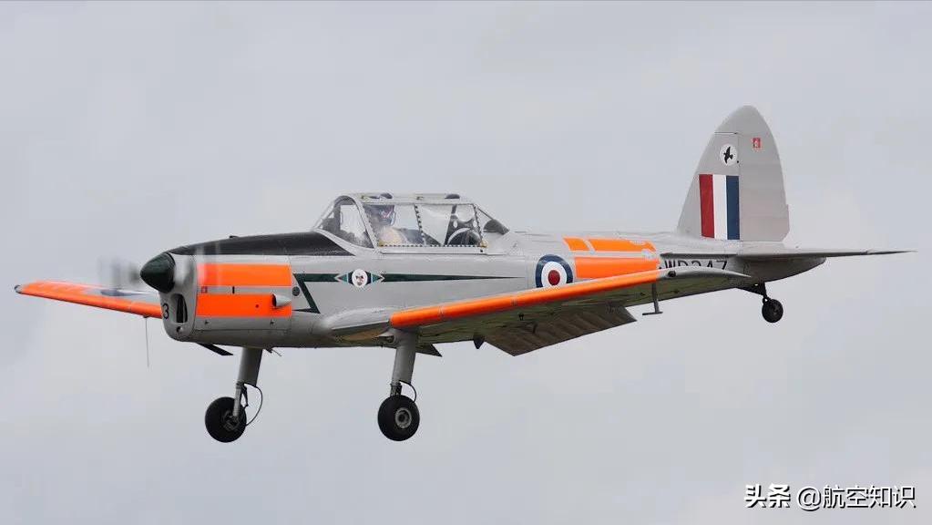 飞机制造商对动物的喜爱到底有多深?——德哈维兰加拿大