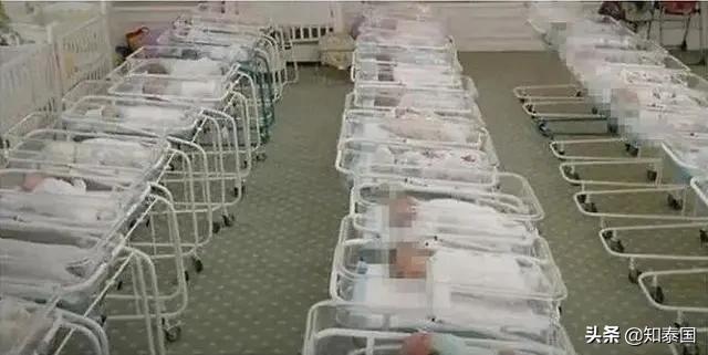 郑爽代孕只是小儿科，东南亚的“代孕工厂”，还有更多隐藏的真相