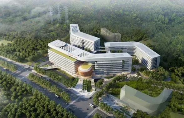 中山六院呼吸内科主任招聘启事,中山市中山医院招聘