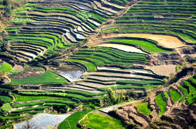 云南旅游必去的五个地方排名,云南旅游必去三个地方推荐