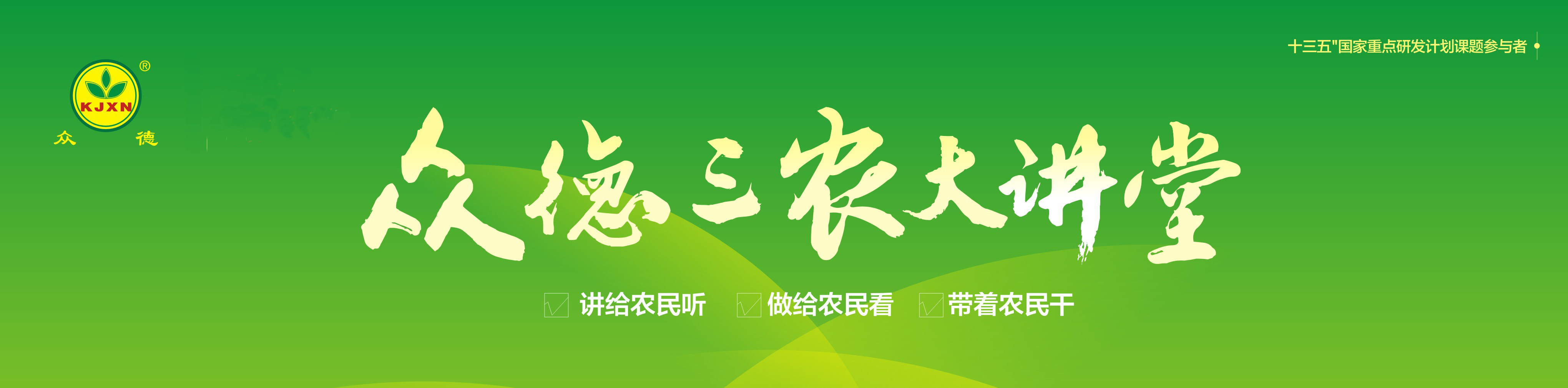 姜种怎么掰开,姜种怎样掰芽