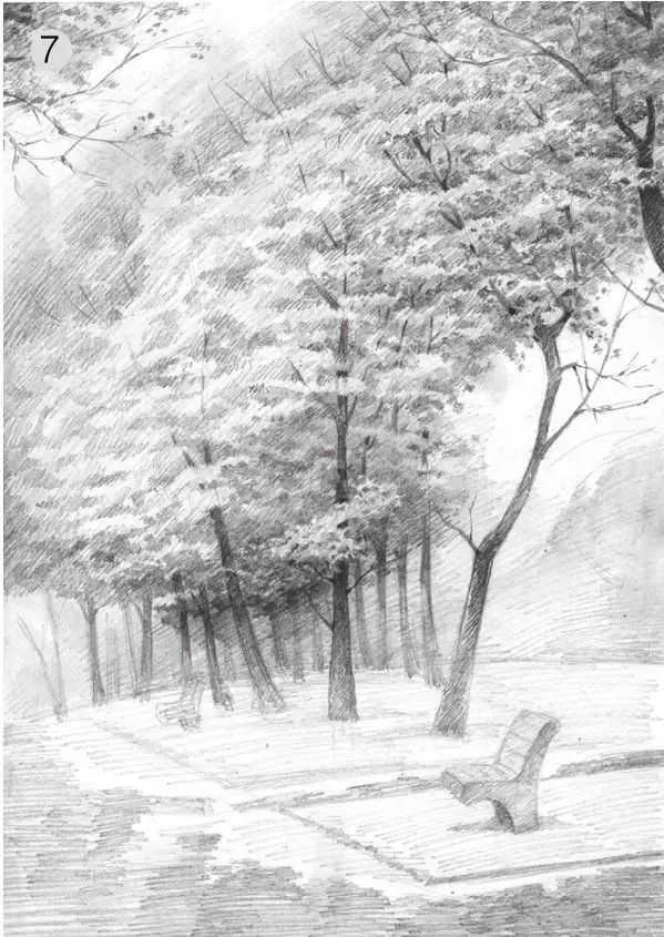 树林素描简单画法,树林中的光影画简单素描