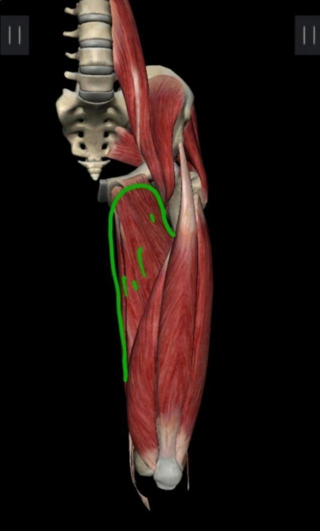 内收肌的多种练法,内收肌正确练法