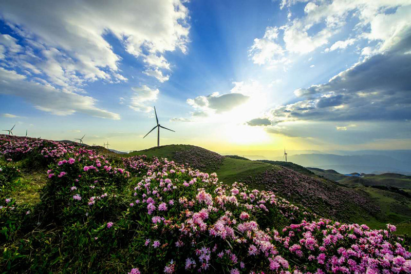 普安县和晴隆县什么时候并入盘州,盘州富源普安能不能合并