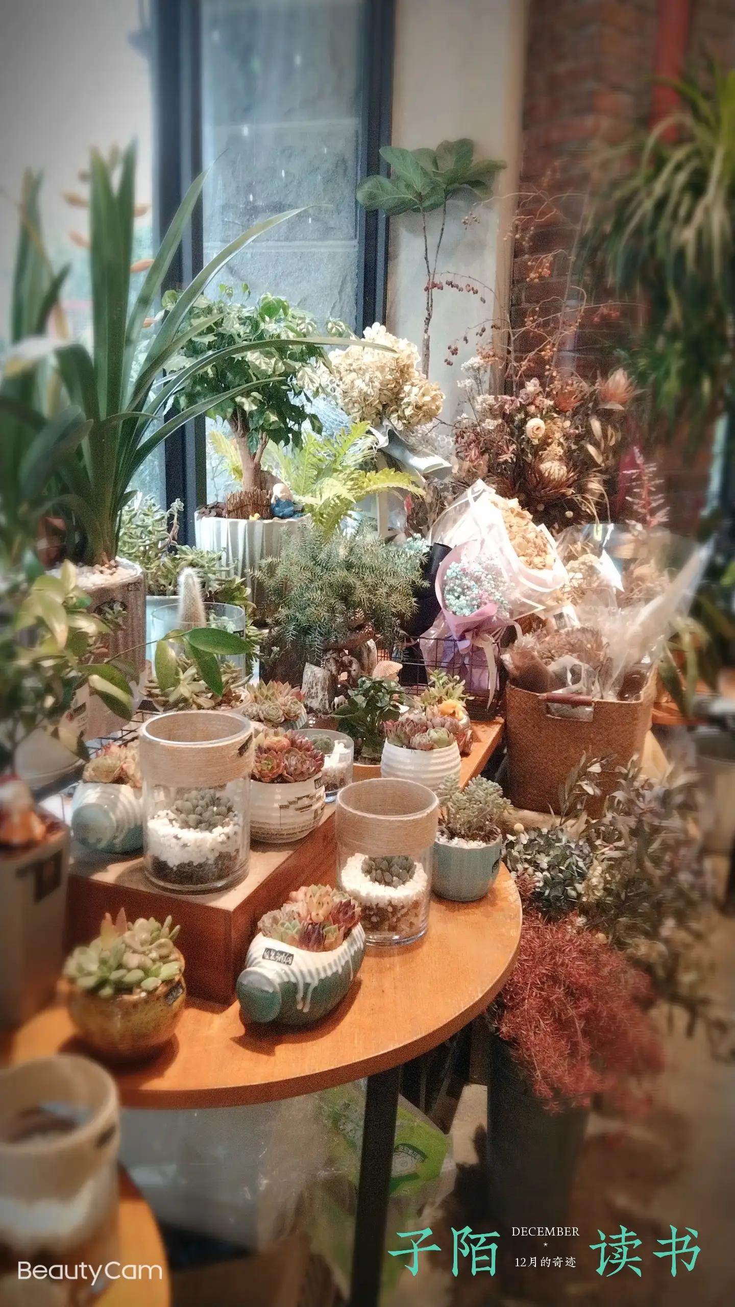 自己的花是让别人看的,自己的花是让别人看的教案