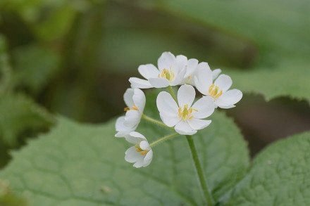 20岁才恍然大悟要自己爱自己,二十岁应该要学会爱自己