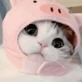 最好的饮料就是温水,热水和饮料