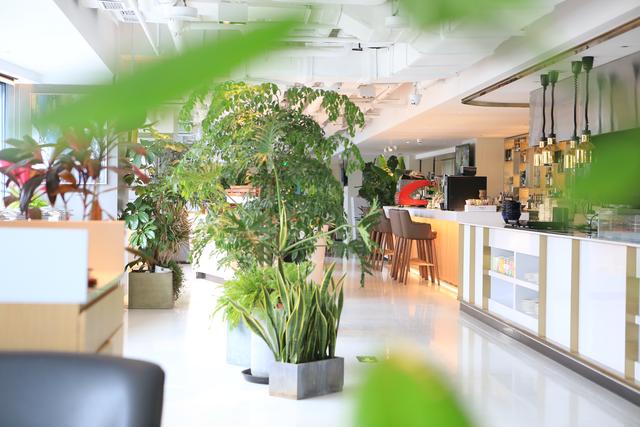 北京西单好吃不贵的美食,北京西单美食排行榜前十名的餐厅