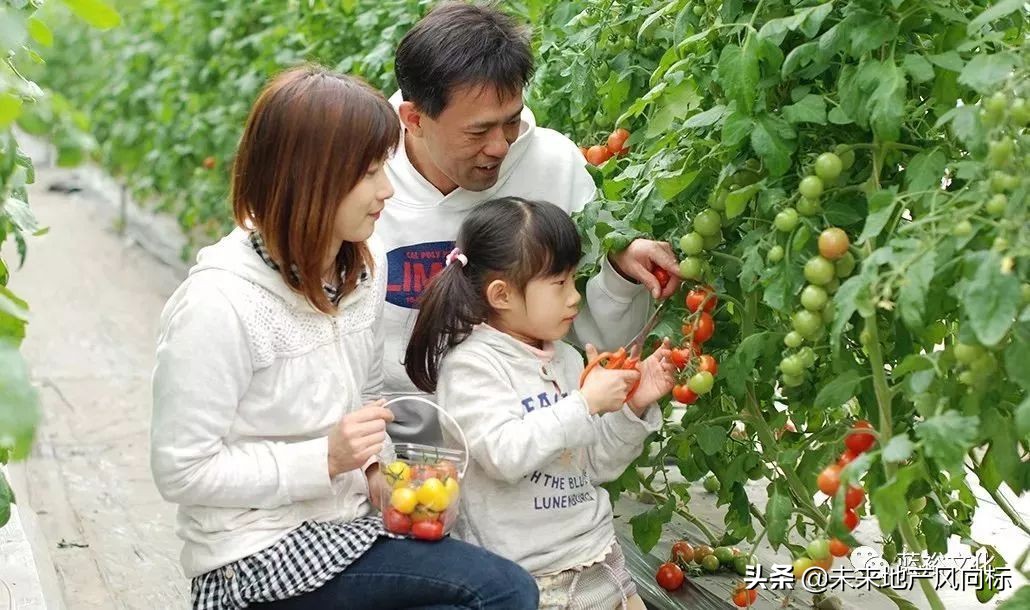 母亲牧场要玩多久,低成本花园家庭农场亲子乐园