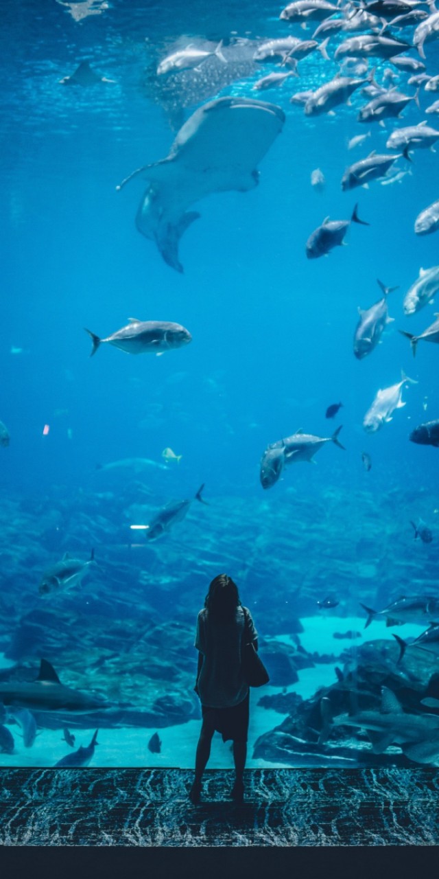 优阿壁纸全屏无水印,优阿无水印手机壁纸