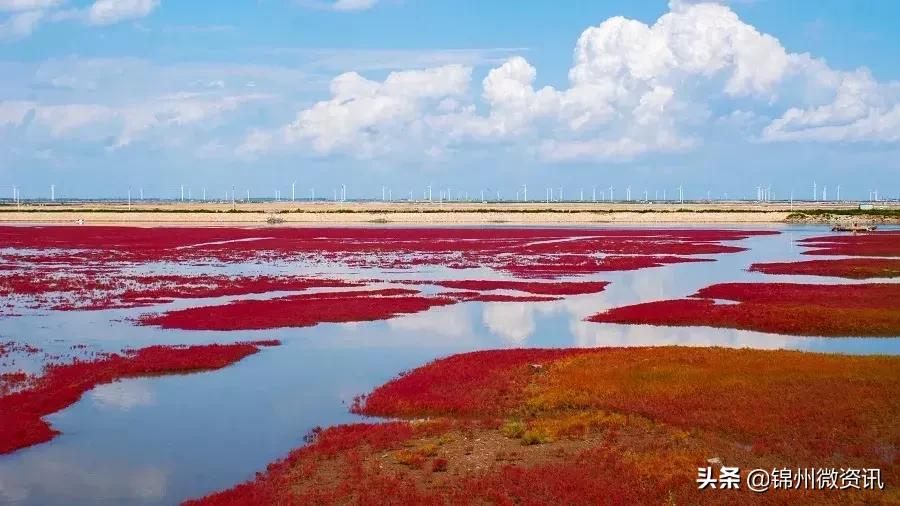 辽宁国家级示范区规划,辽宁凌海农业发展