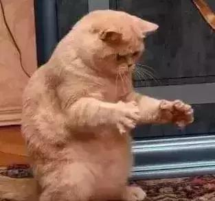 汕尾有多大面积和人口有多少,汕尾是个什么样的城市