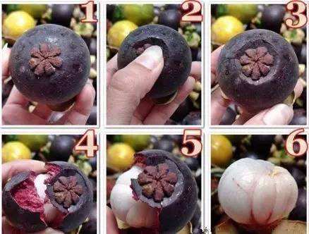 山竹买回家怎么能保持它的新鲜度,山竹怎么挑不白吃