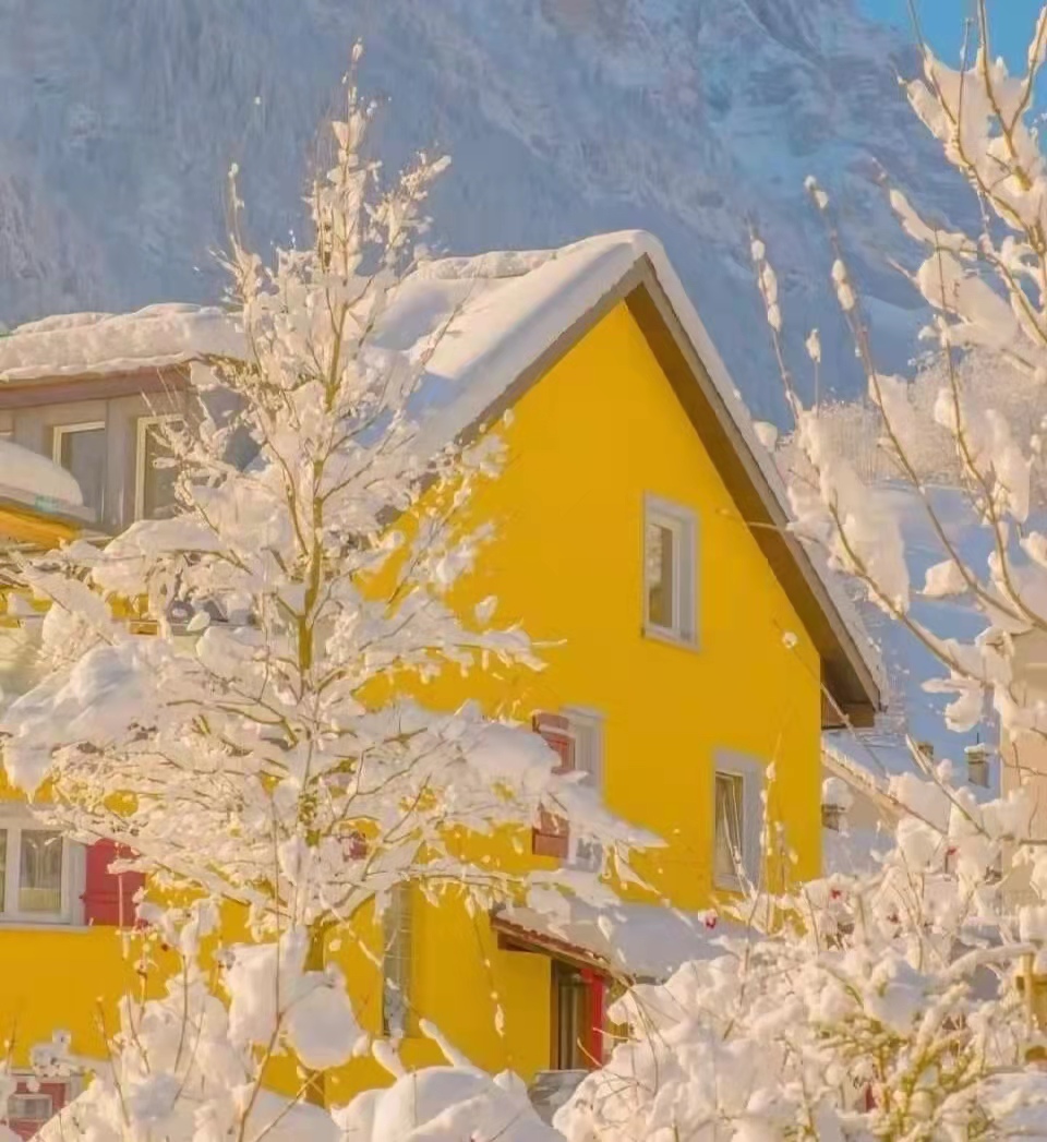 那些小说里惊艳了你的文案,那些堪称神来之笔的小说开头文案