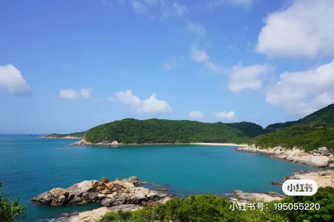 吴彦祖拍的劲爆电影,吴彦祖最新片