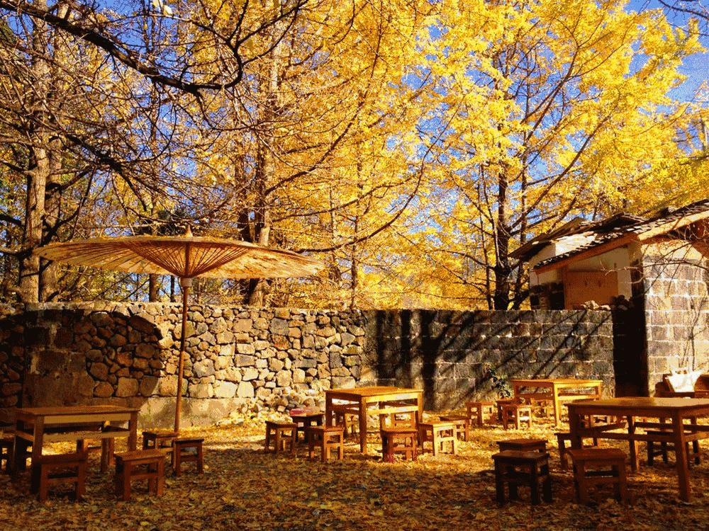 秋天的风景是如此的让人迷醉,秋天的美景个个都让人惊艳