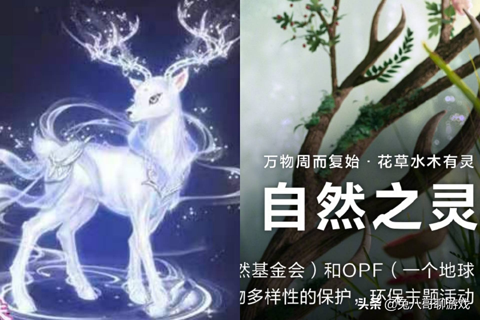 2022巴宝莉瑶妹联动皮肤,瑶妹巴宝莉联名皮肤图片