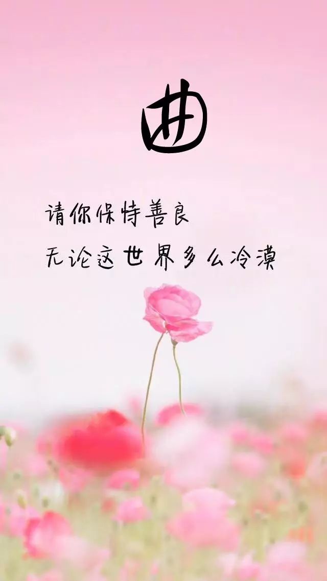 珠宝翡翠艺术字体,翡翠字体图片欣赏