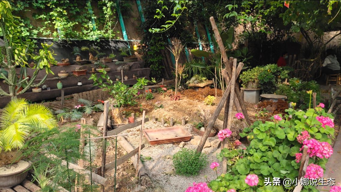 美如画的农场,美如画的生态园