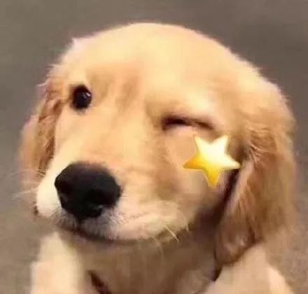 落地签和免签的国家有哪些,免签和落地签热门旅行目的地