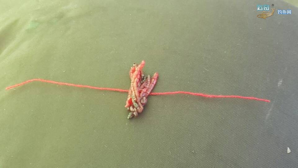 冰钓线组的正确方法图,冰钓如何施钓和必备的装备