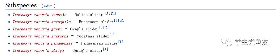 真假李逵——我们买到的“大河甜甜圈”是何许龟也？