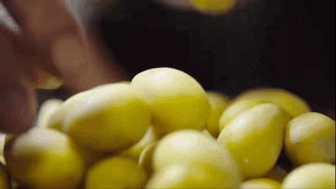 潮汕人从小吃到大的油柑,潮汕特有油柑