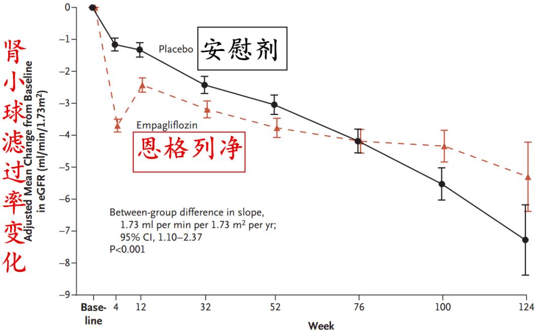 sglt2抑制剂治好肾病吗,肾病治疗迎来大突破