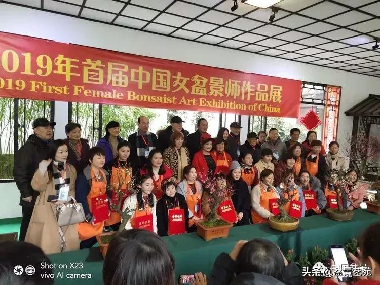 山东盆景艺术大师王桂华,金艳盆景精品欣赏