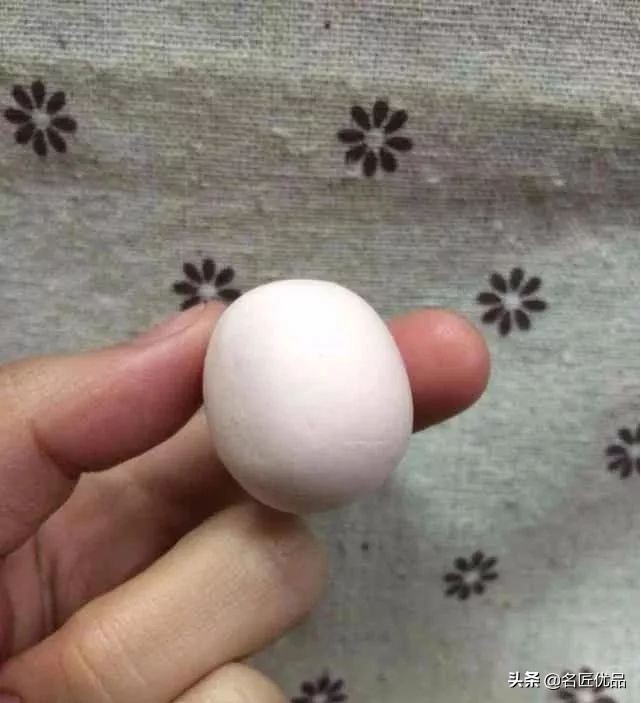 手工黏土花的世界,走进大自然手工粘土