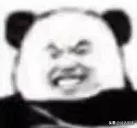 被星巴克“猫爪杯”收割智商税？这只猫能帮你提高智商，亲测有效