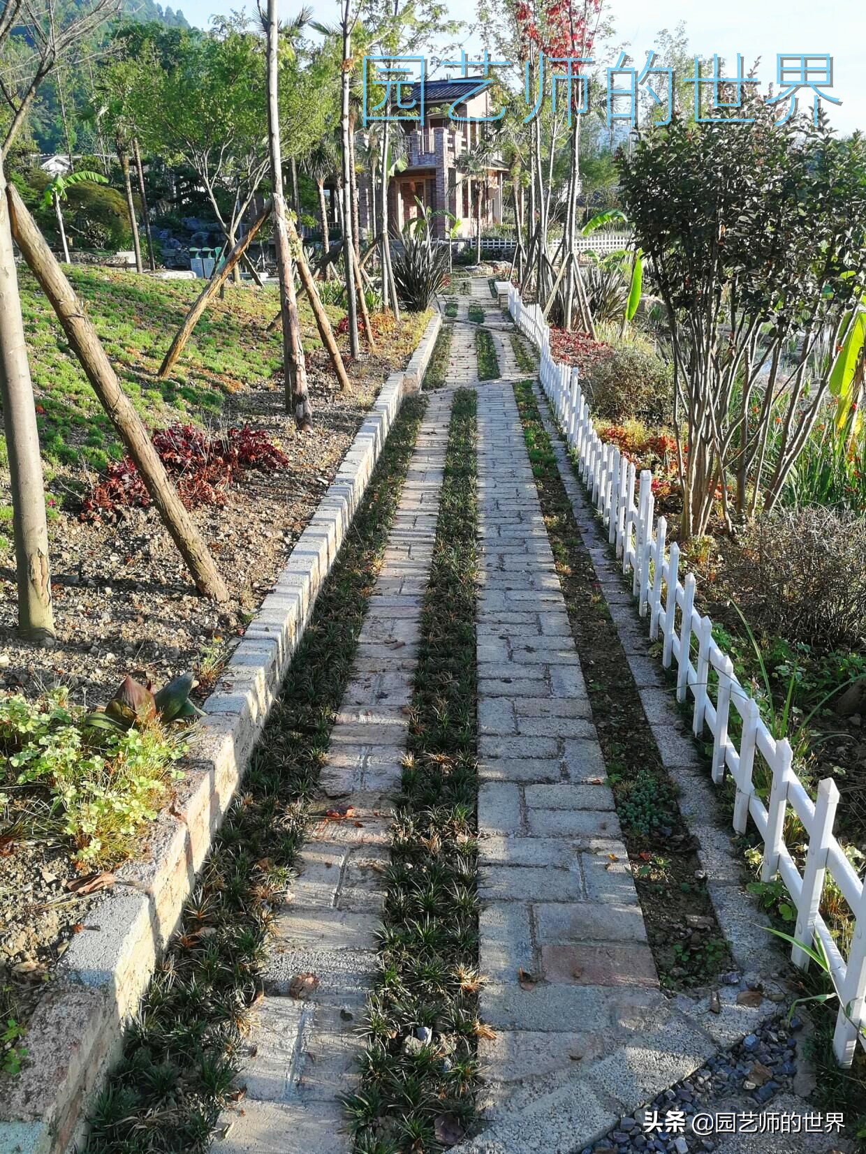 花园科学实验,花园案例及解析