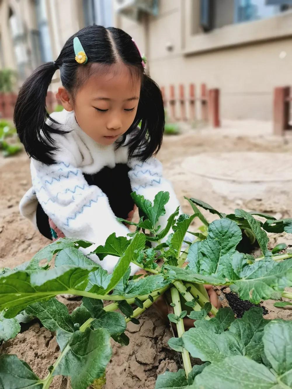 高新区汇爱国际幼稚园,高新区汇爱幼稚园的日常生活