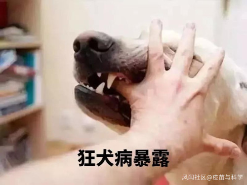 新冠特免血浆治疗成功案例,新冠特免血浆治疗效果好吗