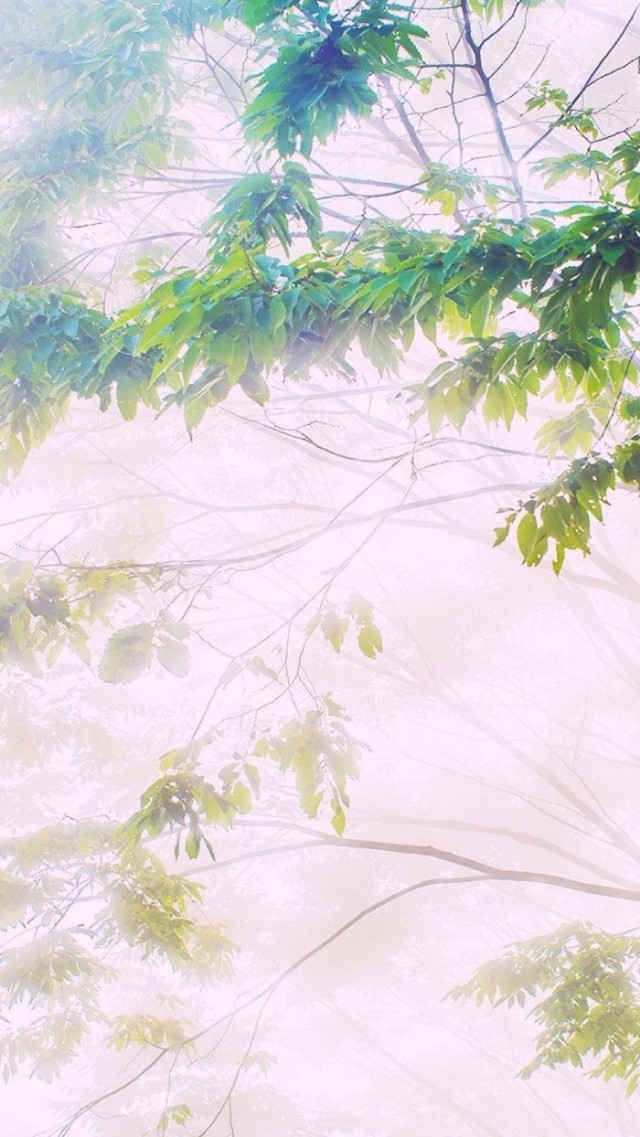 满天星辰是你,不尽思念也是你