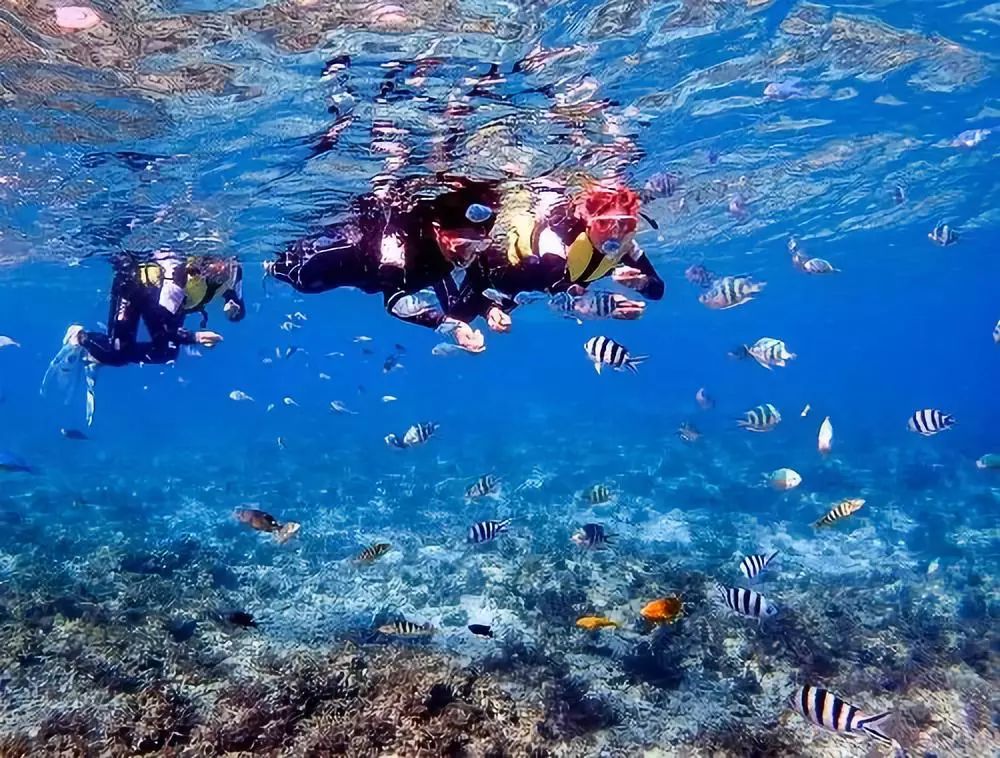 为什么日本人都爱反季节玩冲绳？温度适宜价格低，还有这些