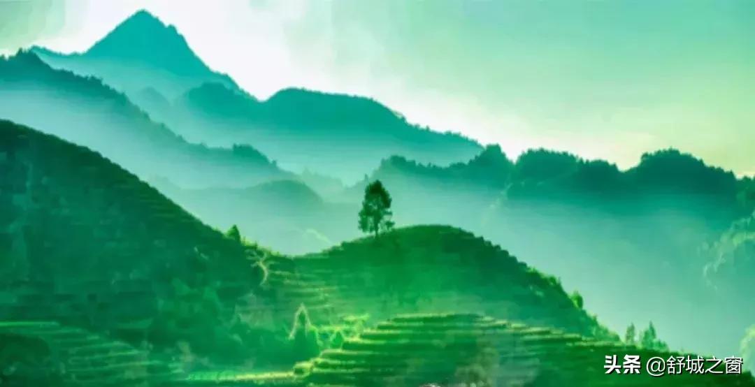 舒城绿兰园捐款 (舒城绿兰园)