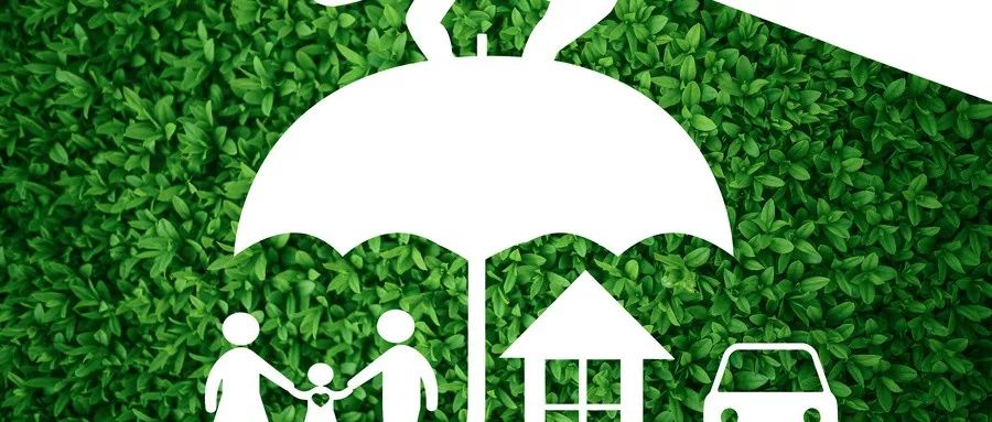 坤鹏论:钱难赚,保险别乱买