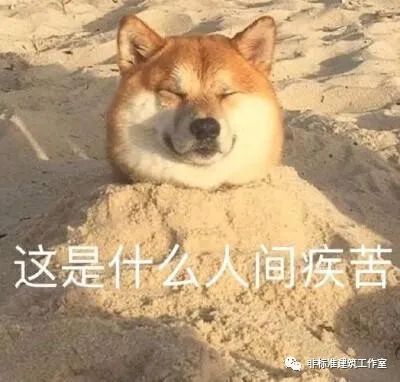 哼！别以为建筑师脸大，就不会翻脸