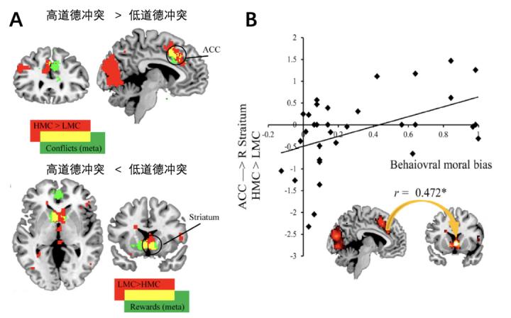 脑科学日报:“老年痴呆”要改名了?青年型痴呆的发病率超乎想象