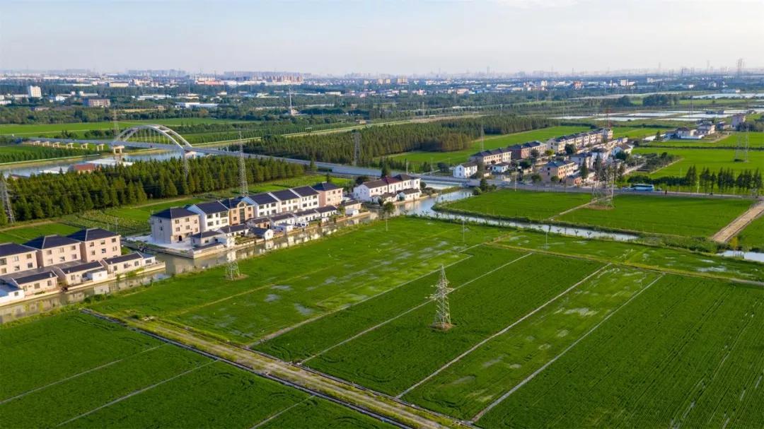 美！太仓这几个村入选「太仓打听猫便民」