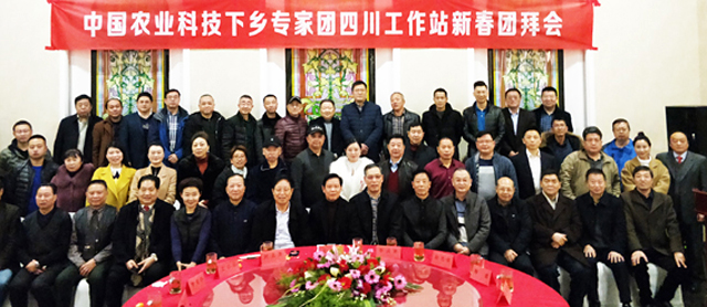 中国农业科技大学下乡专家团,百名科技专家下乡活动