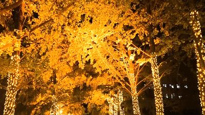 北京科技大学的前景,北京科技大学简介