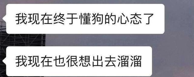 荣耀智慧屏用手机操控教程,荣耀智慧屏新玩法
