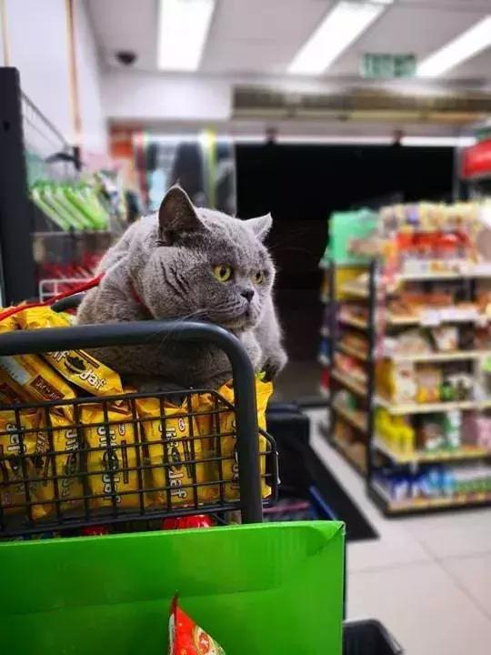 香港这家便利店的店长,靠着腮帮子走红了