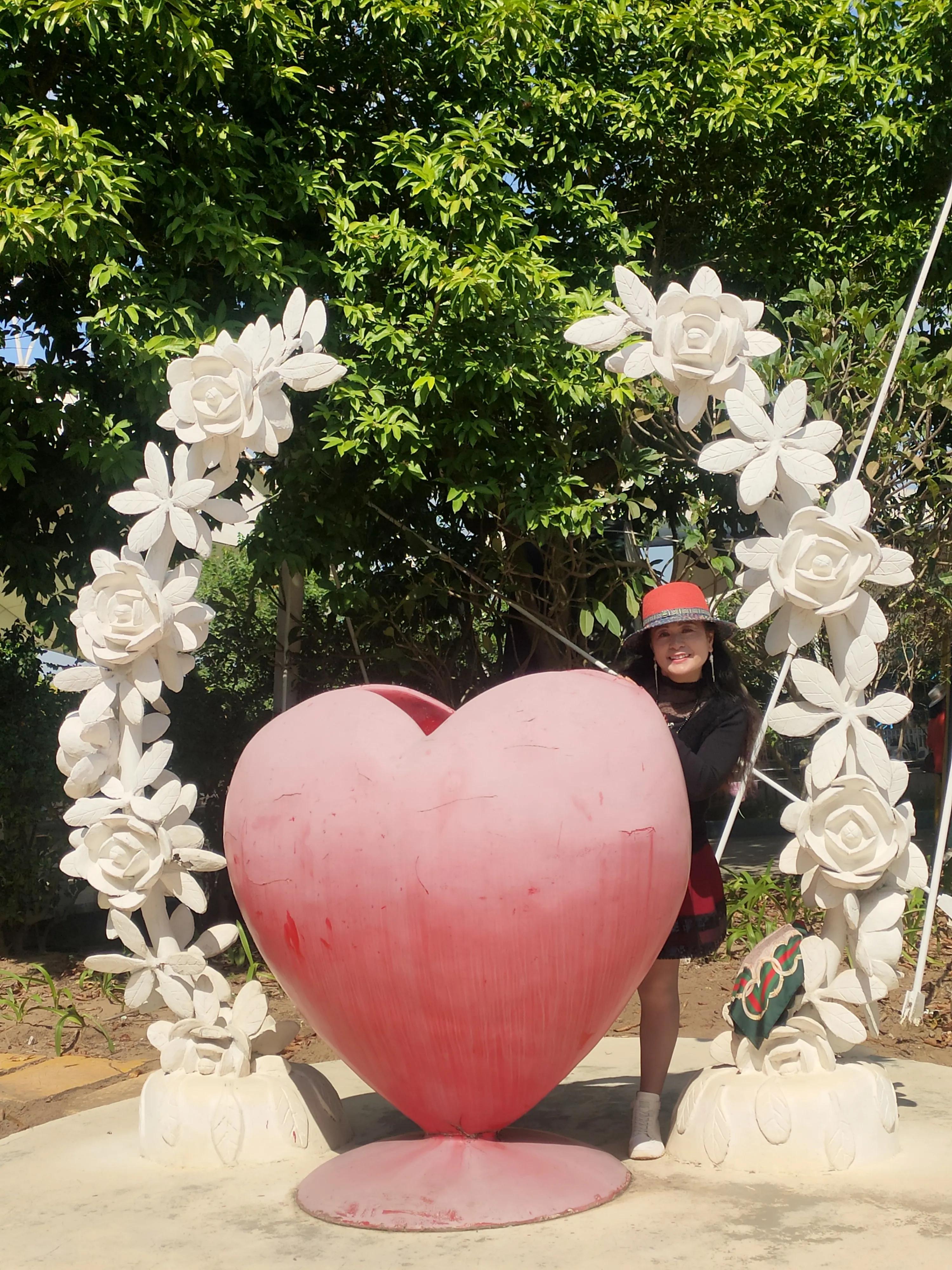 广州番禺百万葵园,广州百万葵园最佳观赏期