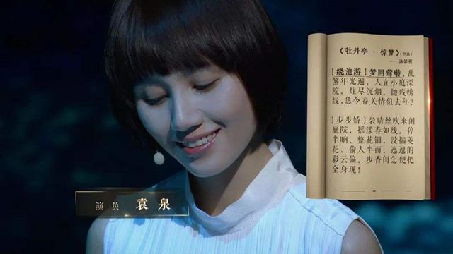 董卿的写作素材及点评,董卿经典语录作文素材合集