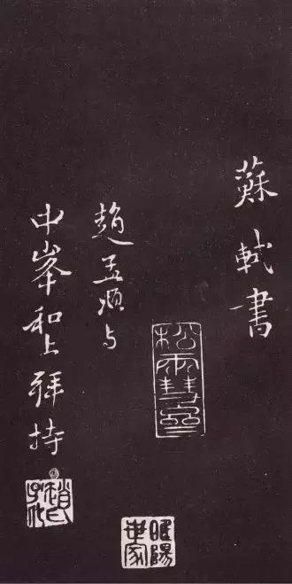 苏轼的心经真迹,苏轼心经行书高清