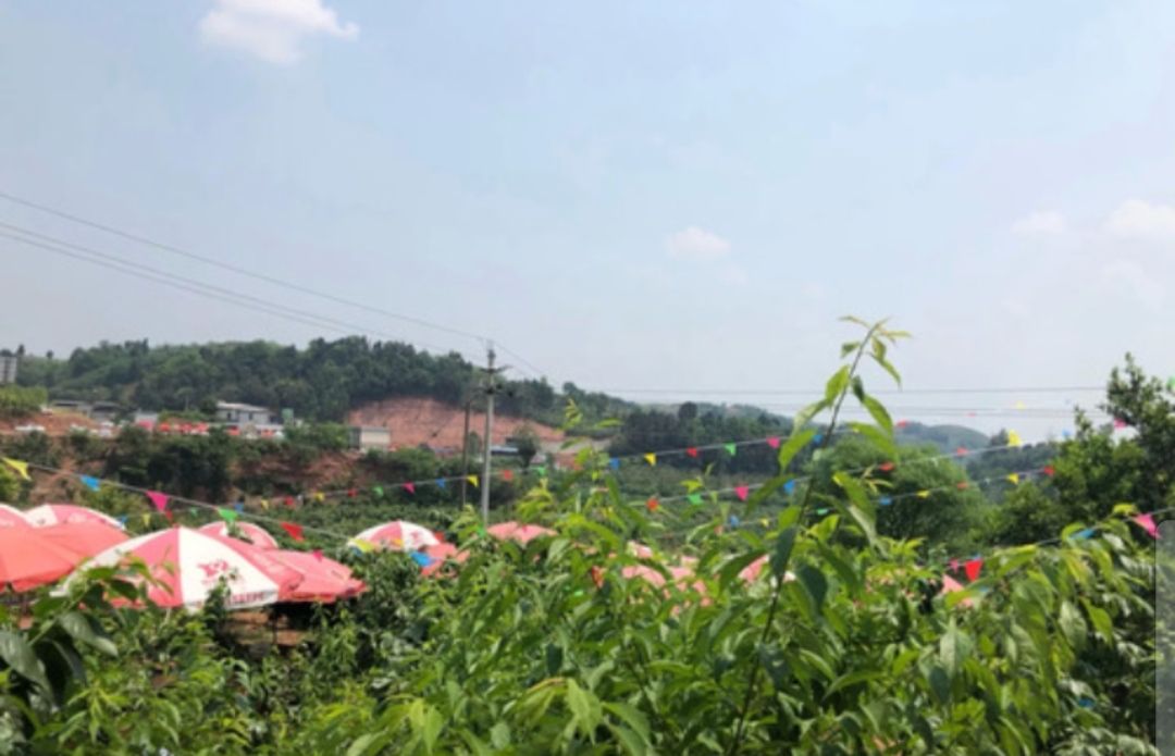 成都周边休闲圣地推荐,成都附近游玩推荐一日游